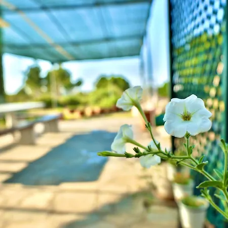 Apartment Elegant Maisonettes Elena Nea Poteidaia