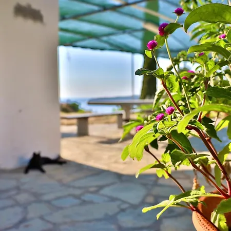 Elegant Maisonettes Elena Apartment Nea Poteidaia