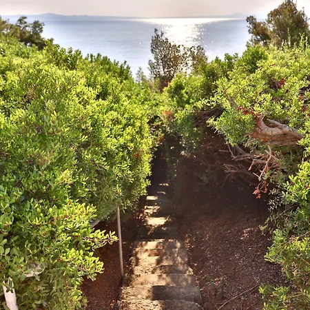 Elegant Maisonettes Elena Apartment