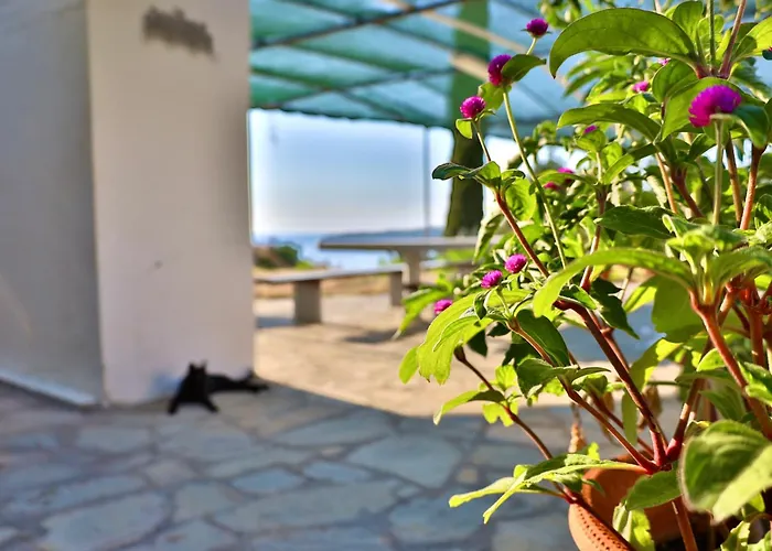 Elegant Maisonettes Elena Διαμέρισμα Νέα Ποτίδαια